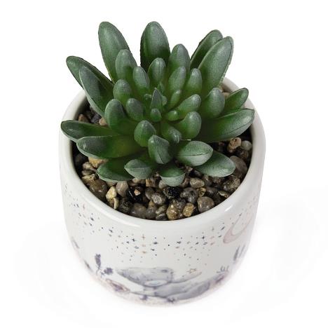 Artificial Me to You Bear Succulent Plant Extra Image 2
